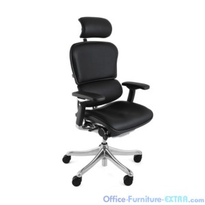 Ergohuman Plus leather Office Chair
